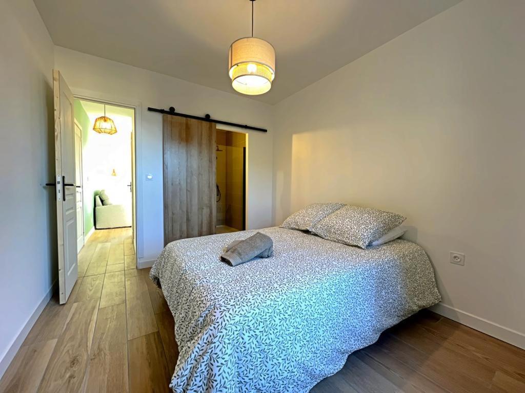 Appartement Coup De Coeur. St Etienne-Rochetaillee Saint-Etienne  Exteriér fotografie