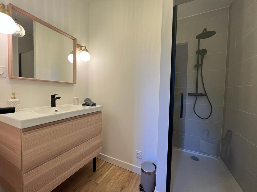Appartement Coup De Coeur. St Etienne-Rochetaillee Saint-Etienne  Exteriér fotografie
