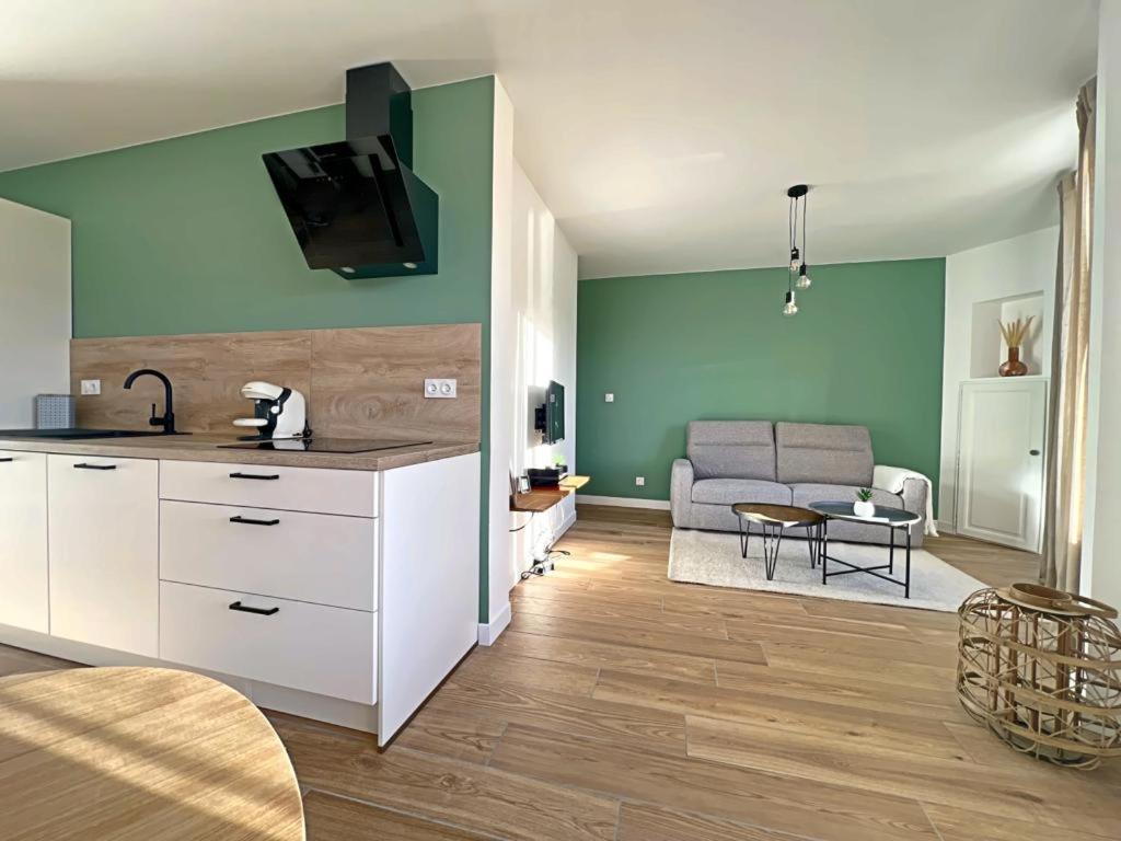 Appartement Coup De Coeur. St Etienne-Rochetaillee Saint-Etienne  Exteriér fotografie