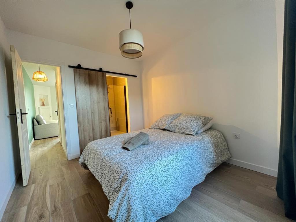 Appartement Coup De Coeur. St Etienne-Rochetaillee Saint-Etienne  Exteriér fotografie